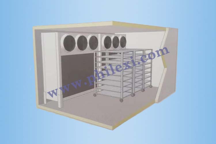 PHILEXI-Walk-in Blast Quick Freezer Rooms-1- 750-500